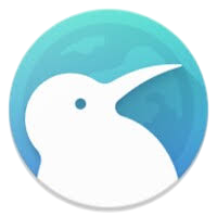 Kiwi Browser